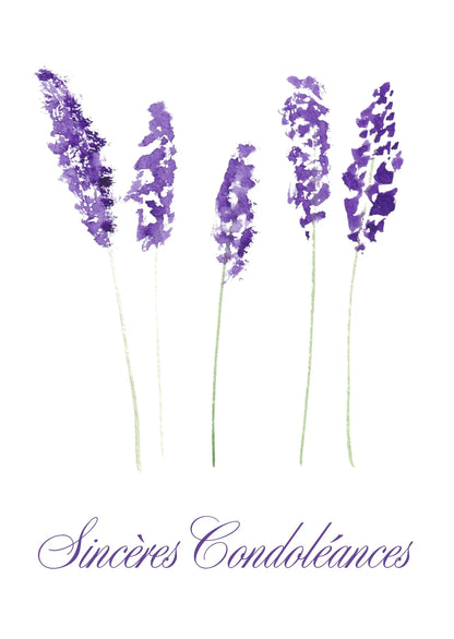 Lavande violette avec texte Sincères Condoléances pour carte de sympathie